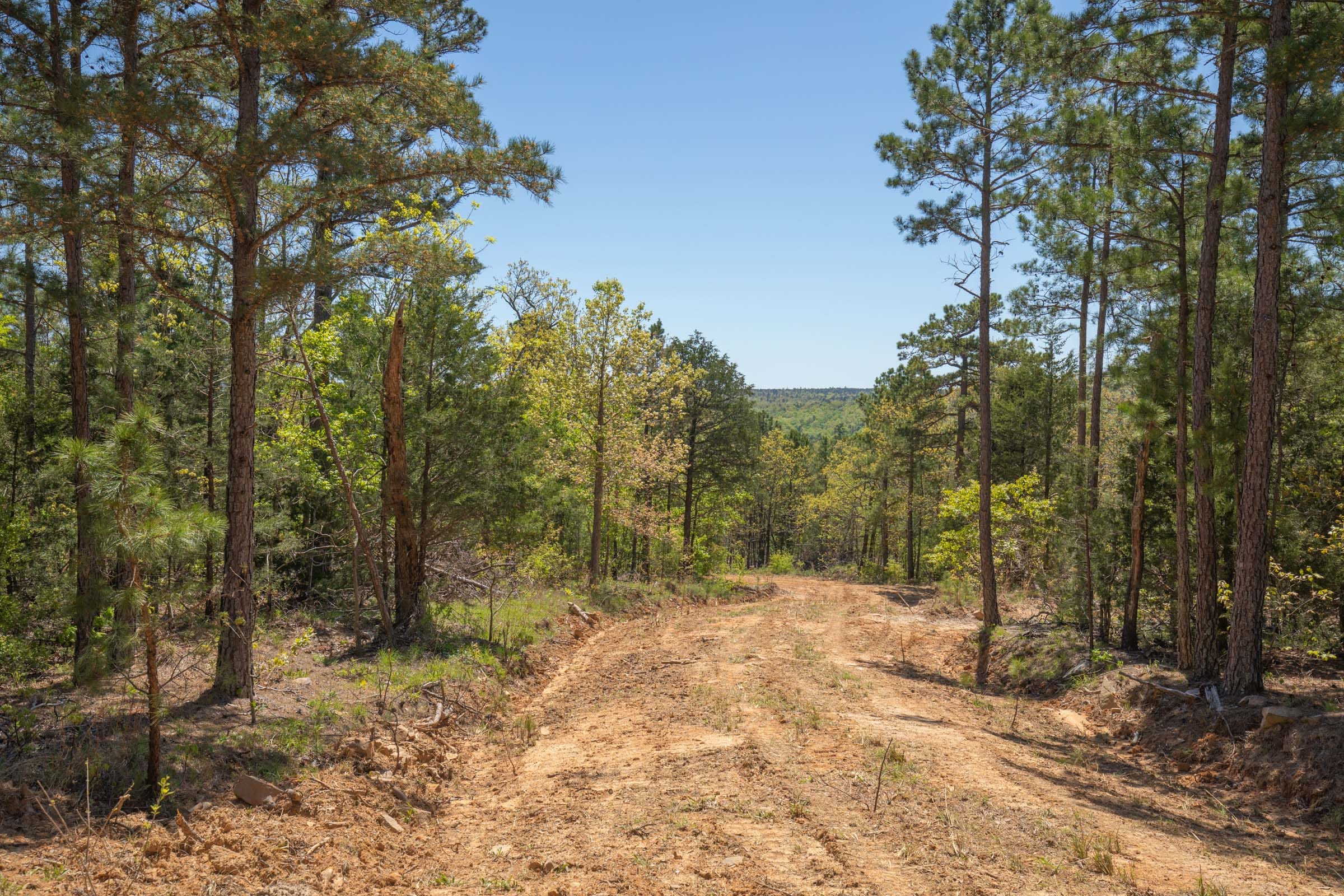 Eagle’s Nest Tract 13 photo 2