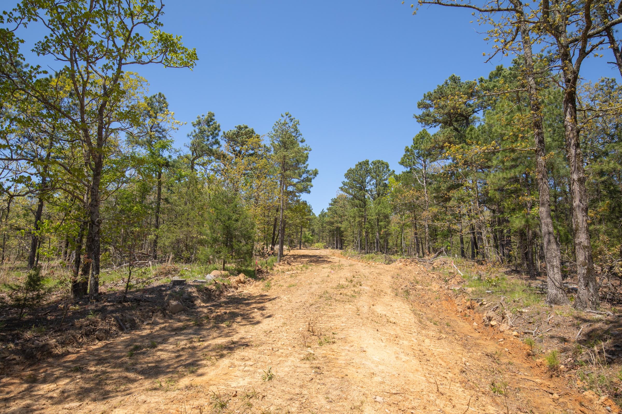 Eagle’s Nest Tract 13 photo 4