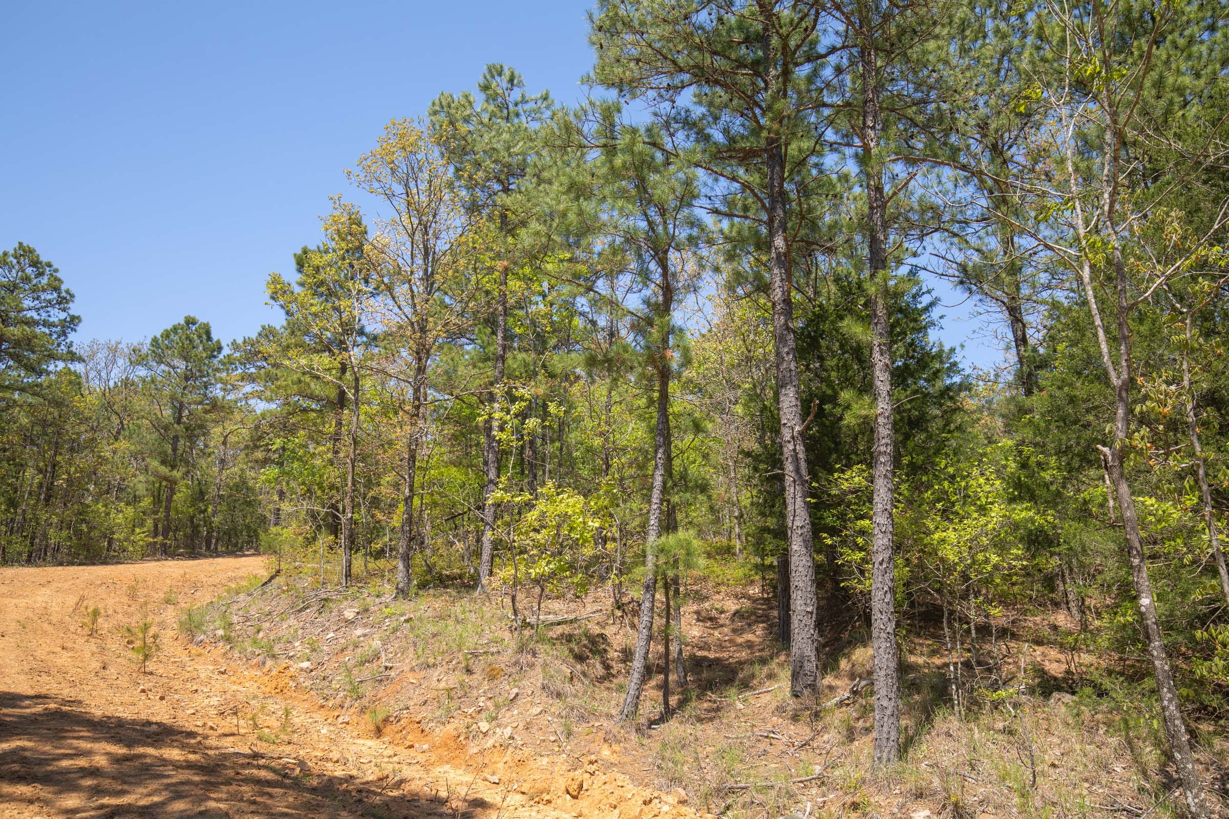 Eagle’s Nest Tract 13 photo 5
