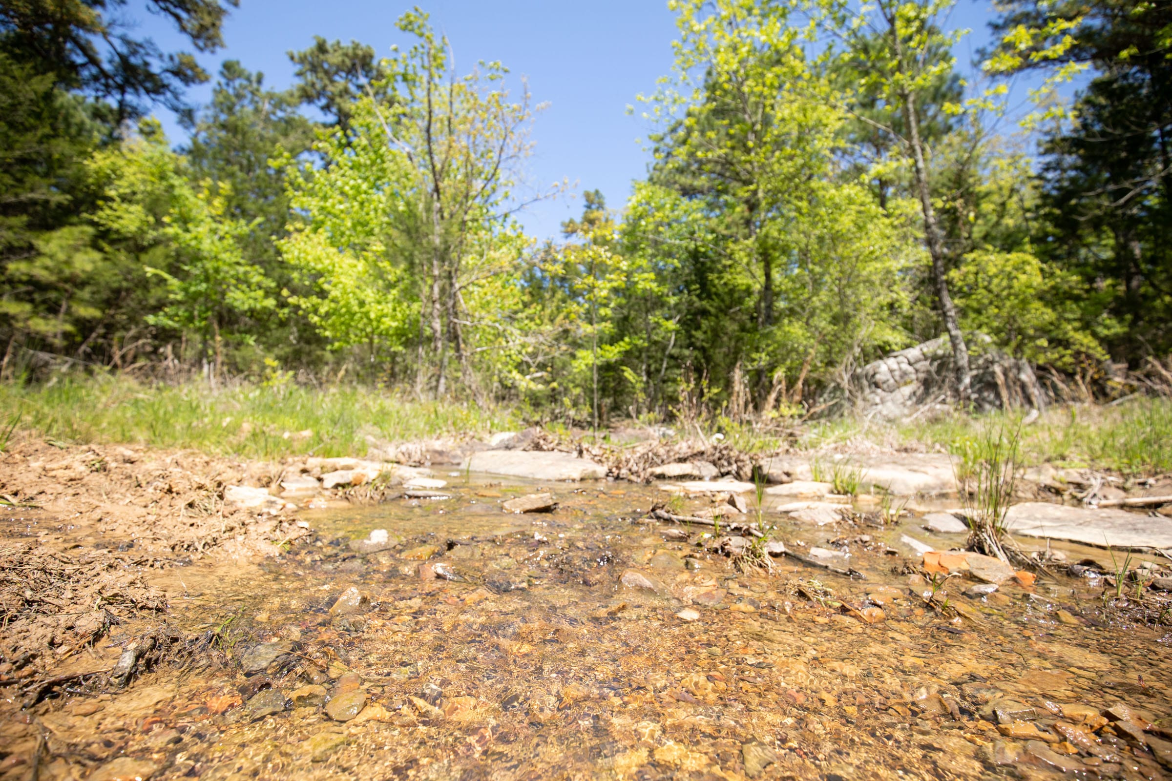 Eagle’s Nest Tract 13 photo 6