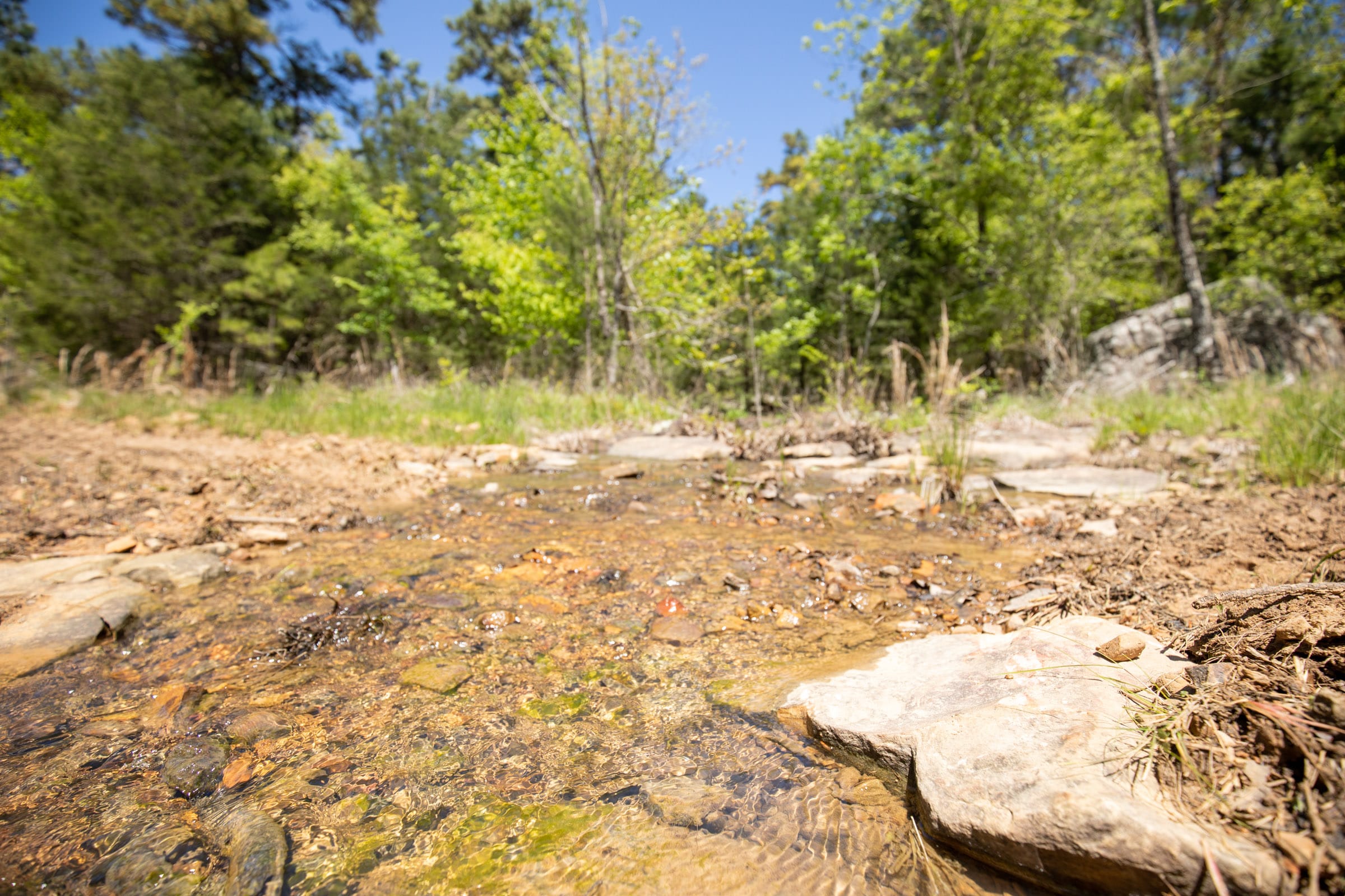 Eagle’s Nest Tract 13 photo 7