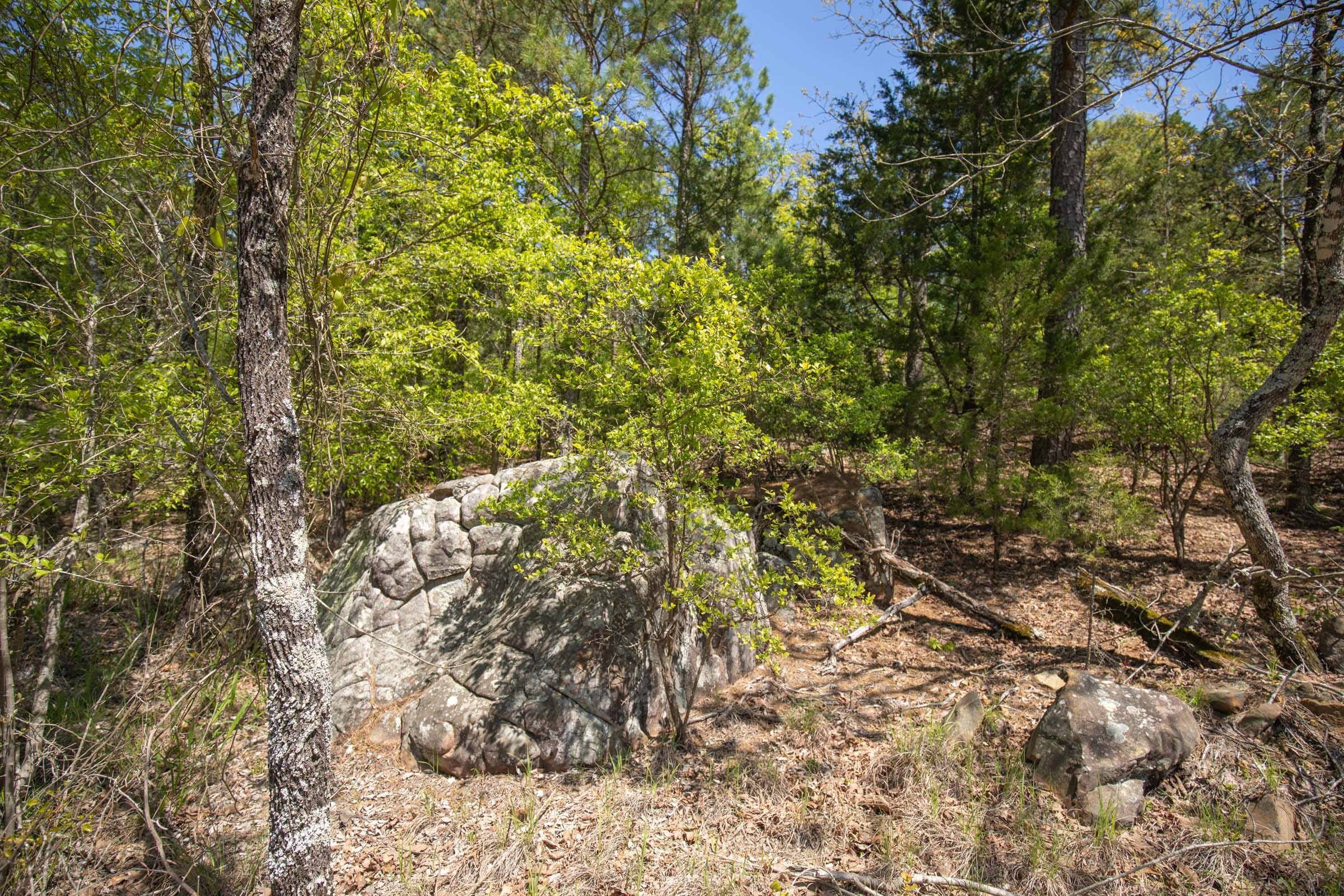 Eagle’s Nest Tract 13 photo 8
