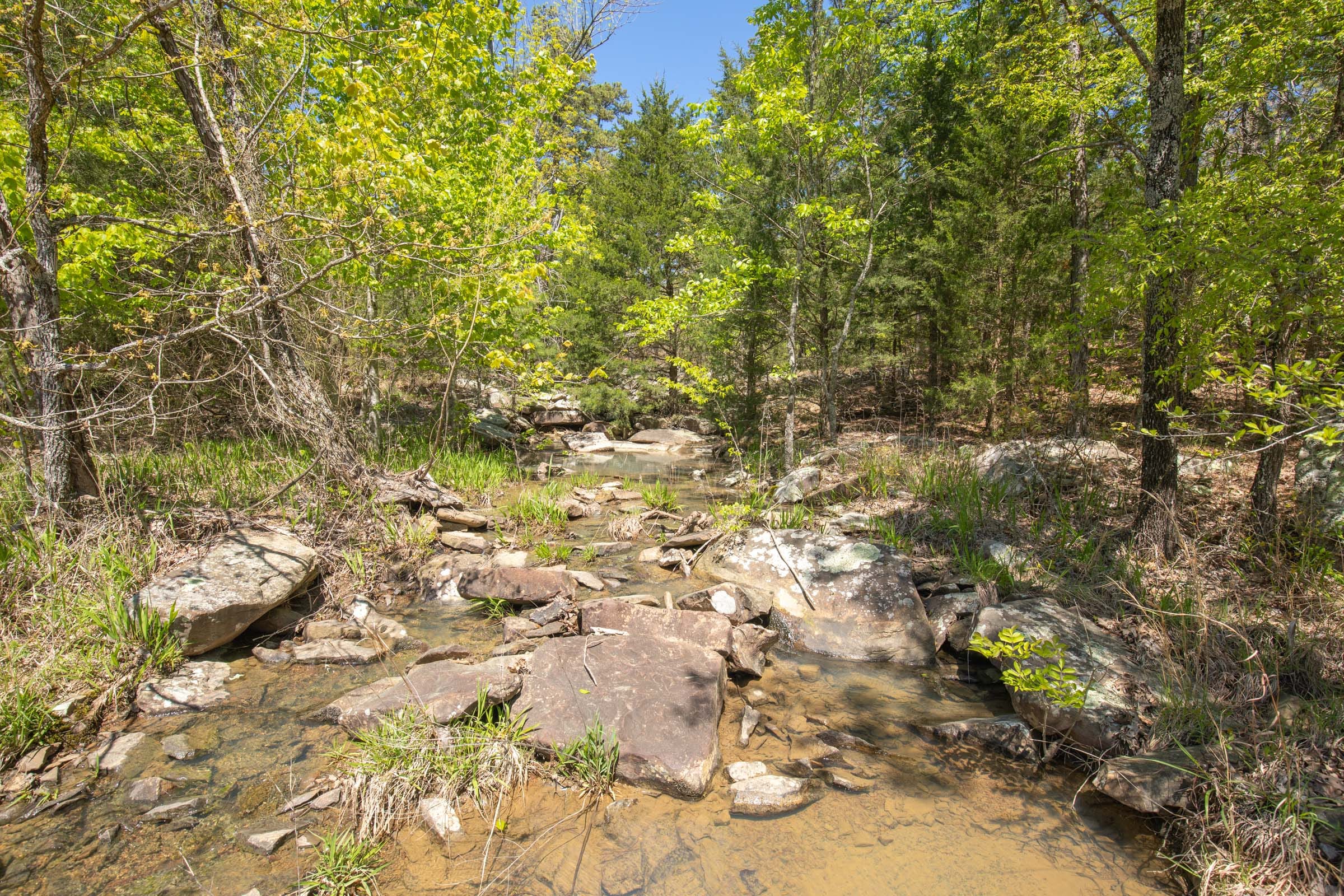 Eagle’s Nest Tract 13 photo 9