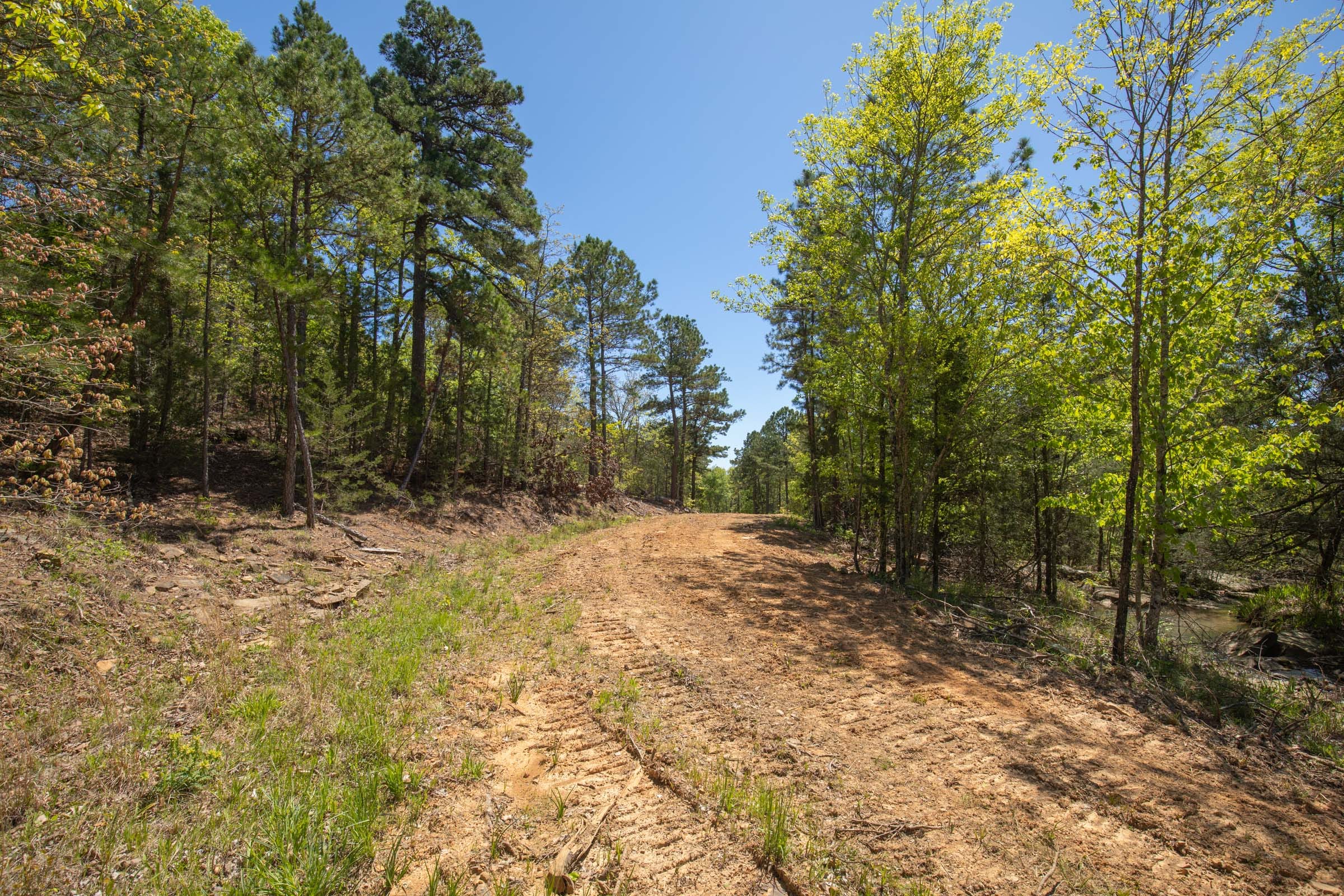 Eagle’s Nest Tract 13 photo 11