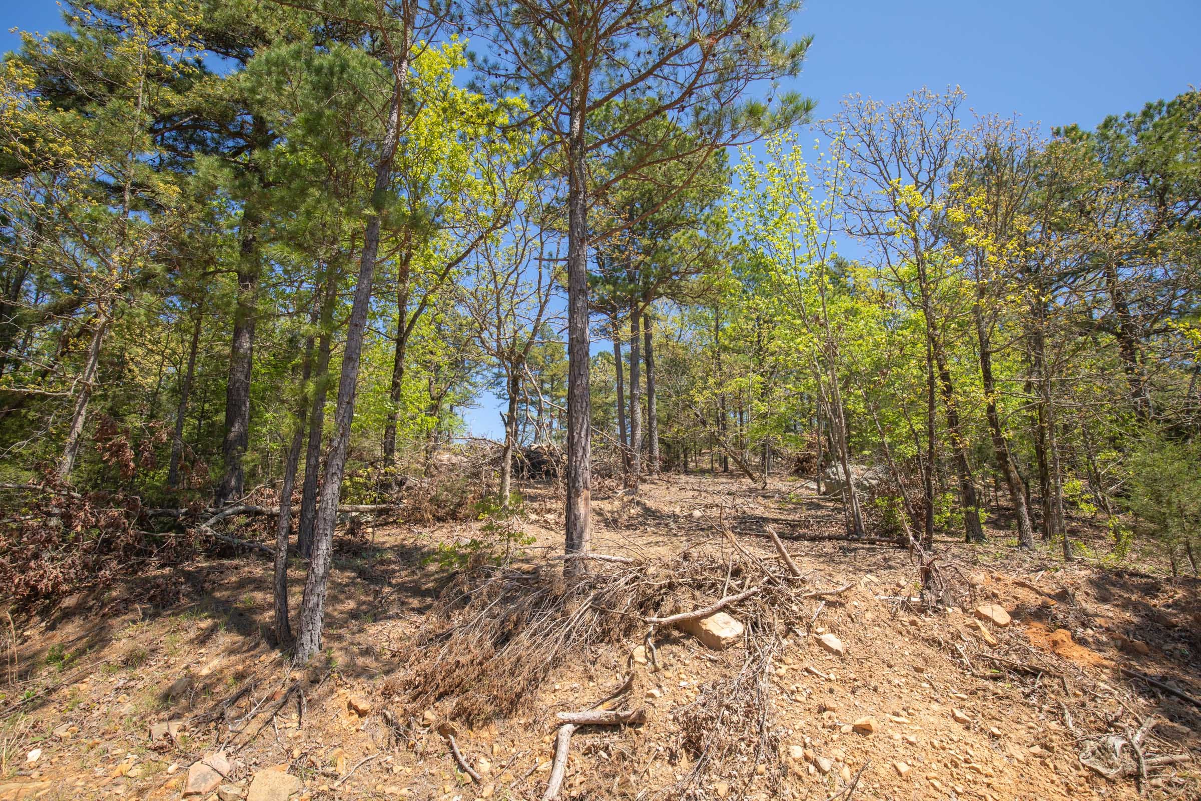 Eagle’s Nest Tract 13 photo 12