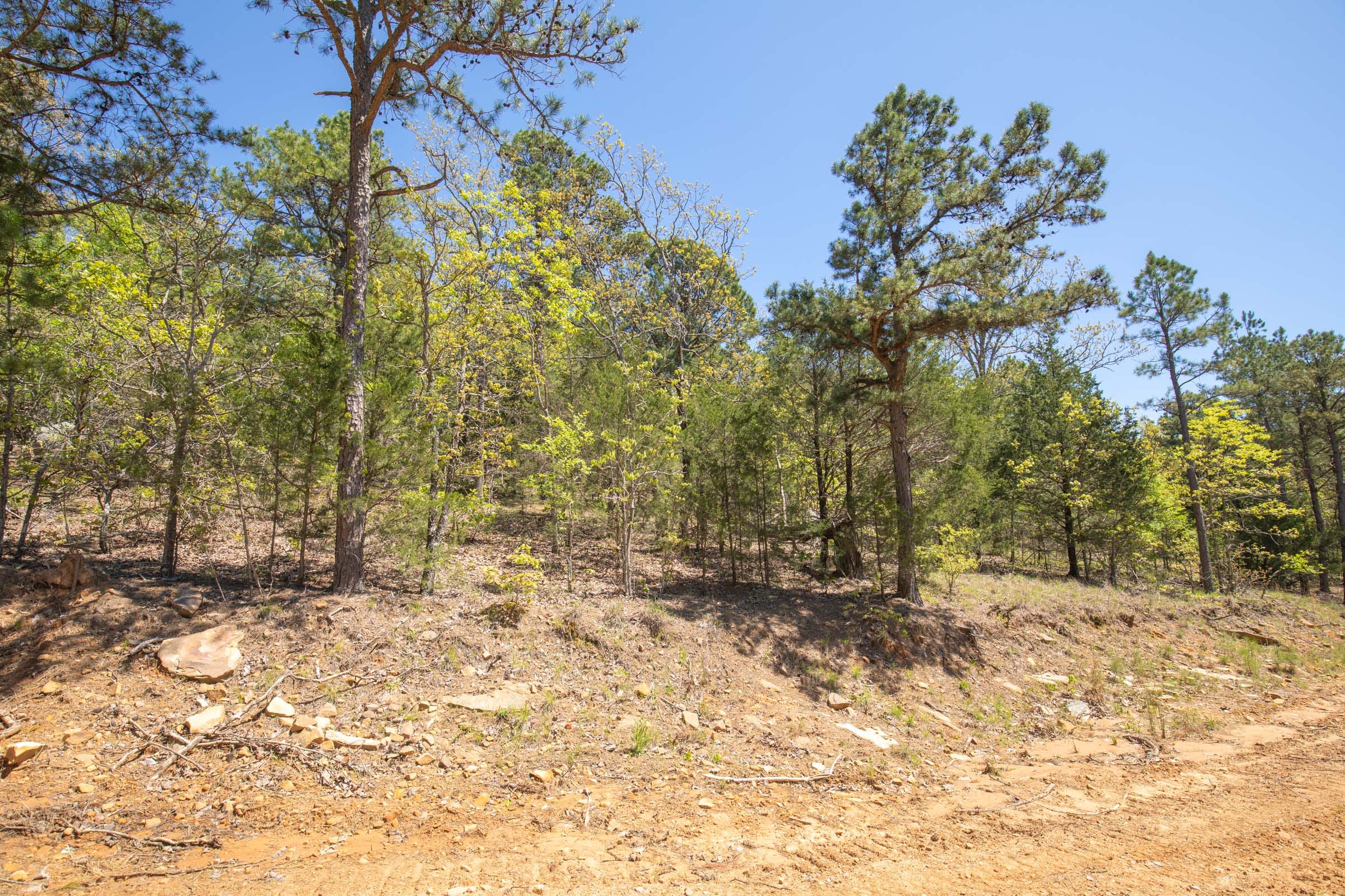 Eagle’s Nest Tract 13 photo 13