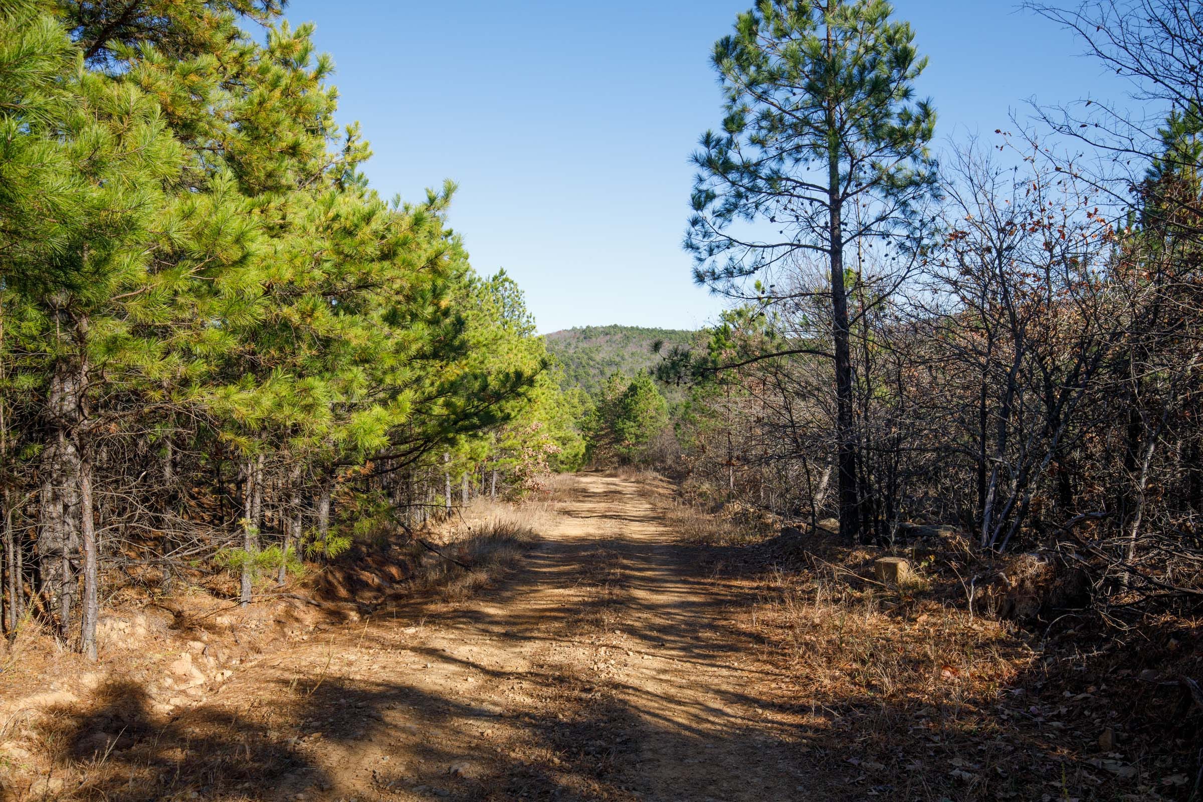 Stone Bridge Phase II Tract 78 photo 2