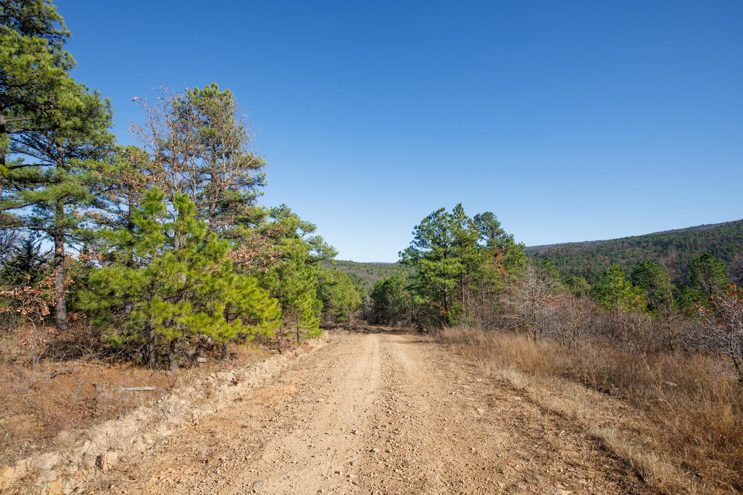 Stone Bridge Phase II Tract 78 photo 4