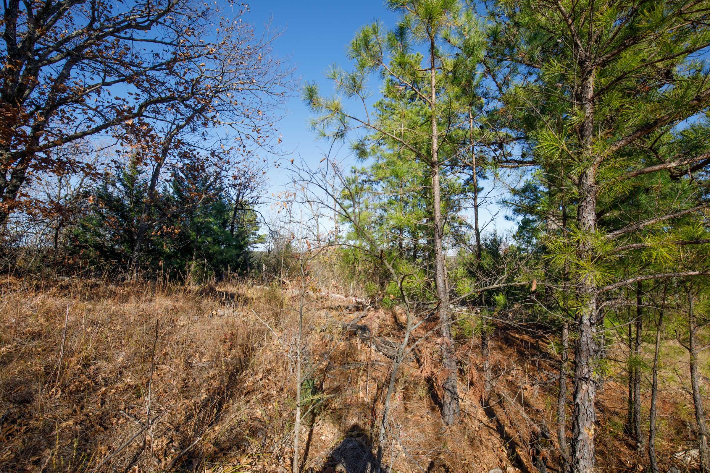 Stone Bridge Phase II Tract 78 photo 8