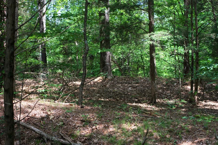 Bluebird Ranch Tract 1 photo 4