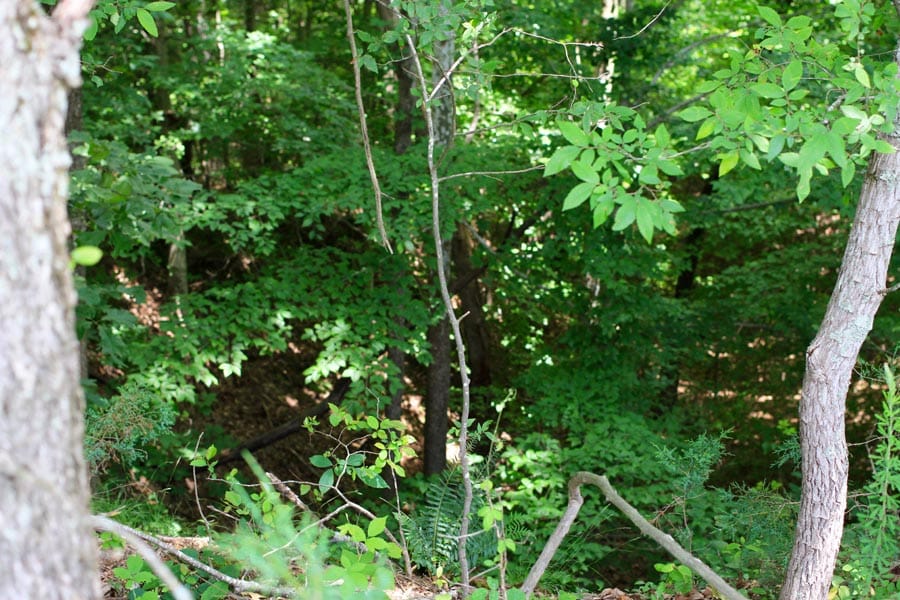 Bluebird Ranch Tract 1 photo 12
