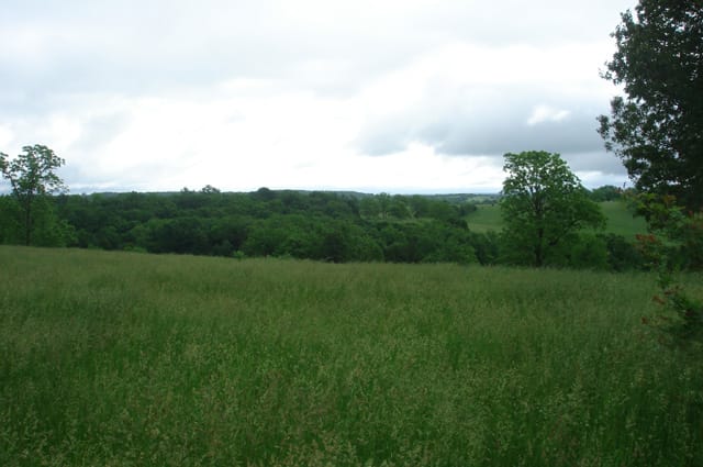 Whispering Oaks Tract 19 photo 1