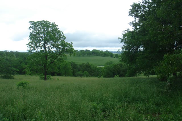 Whispering Oaks Tract 19 photo 2