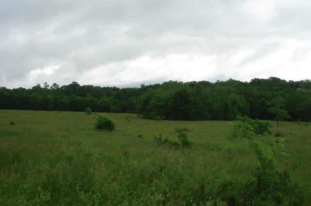 Whispering Oaks Tract 19 photo 3