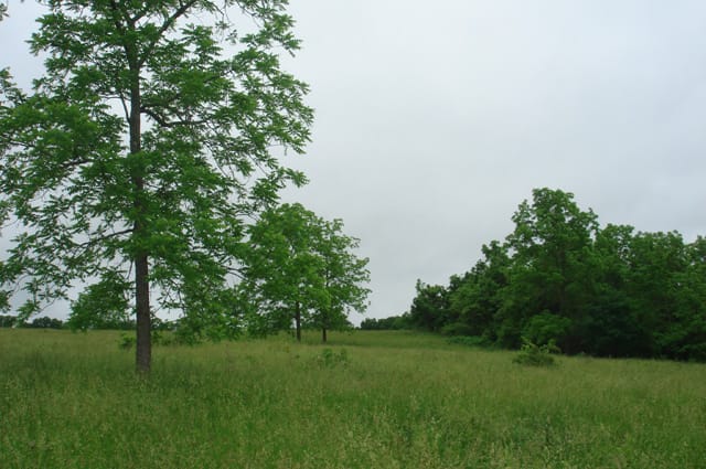 Whispering Oaks Tract 19 photo 4