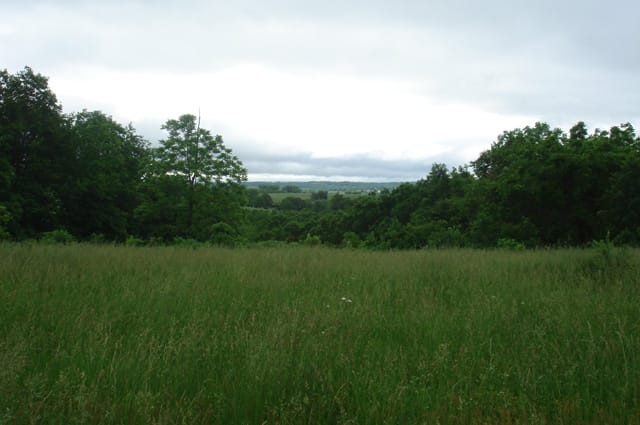 Whispering Oaks Tract 19 photo 5