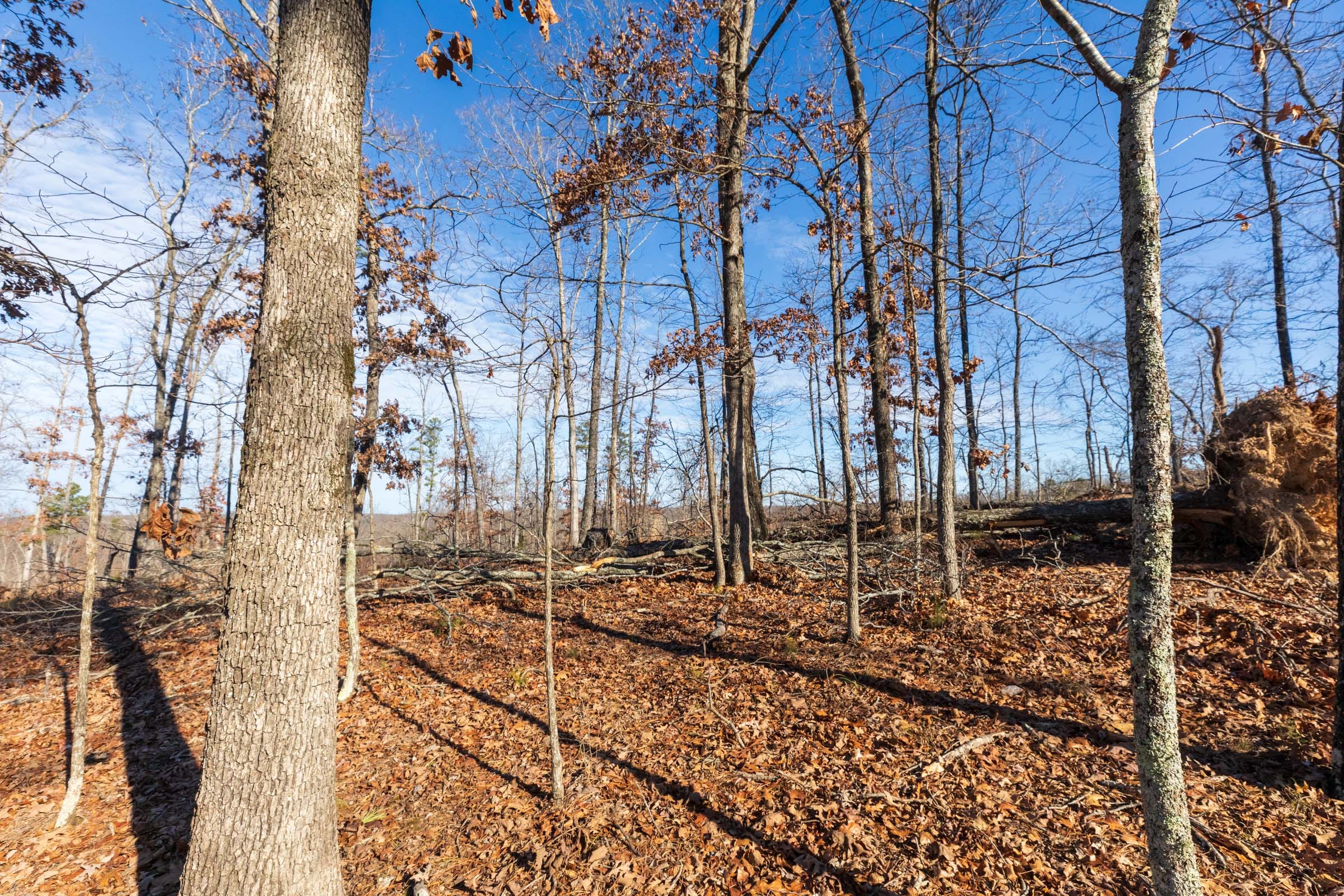 Cypress Ridge Tract 34 photo 12
