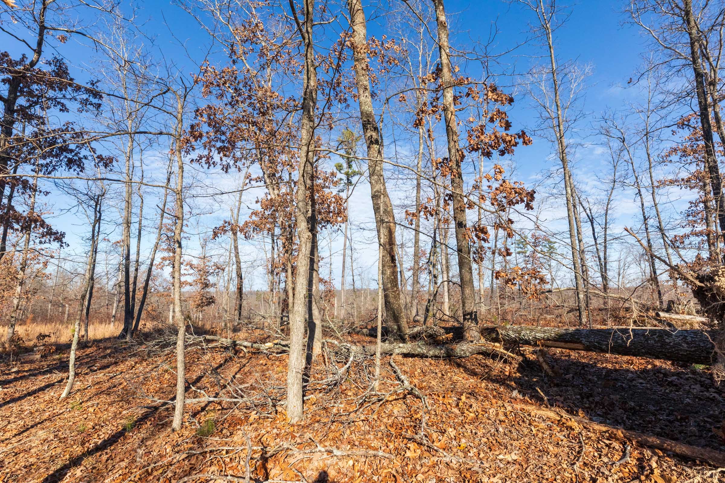 Cypress Ridge Tract 34 photo 10