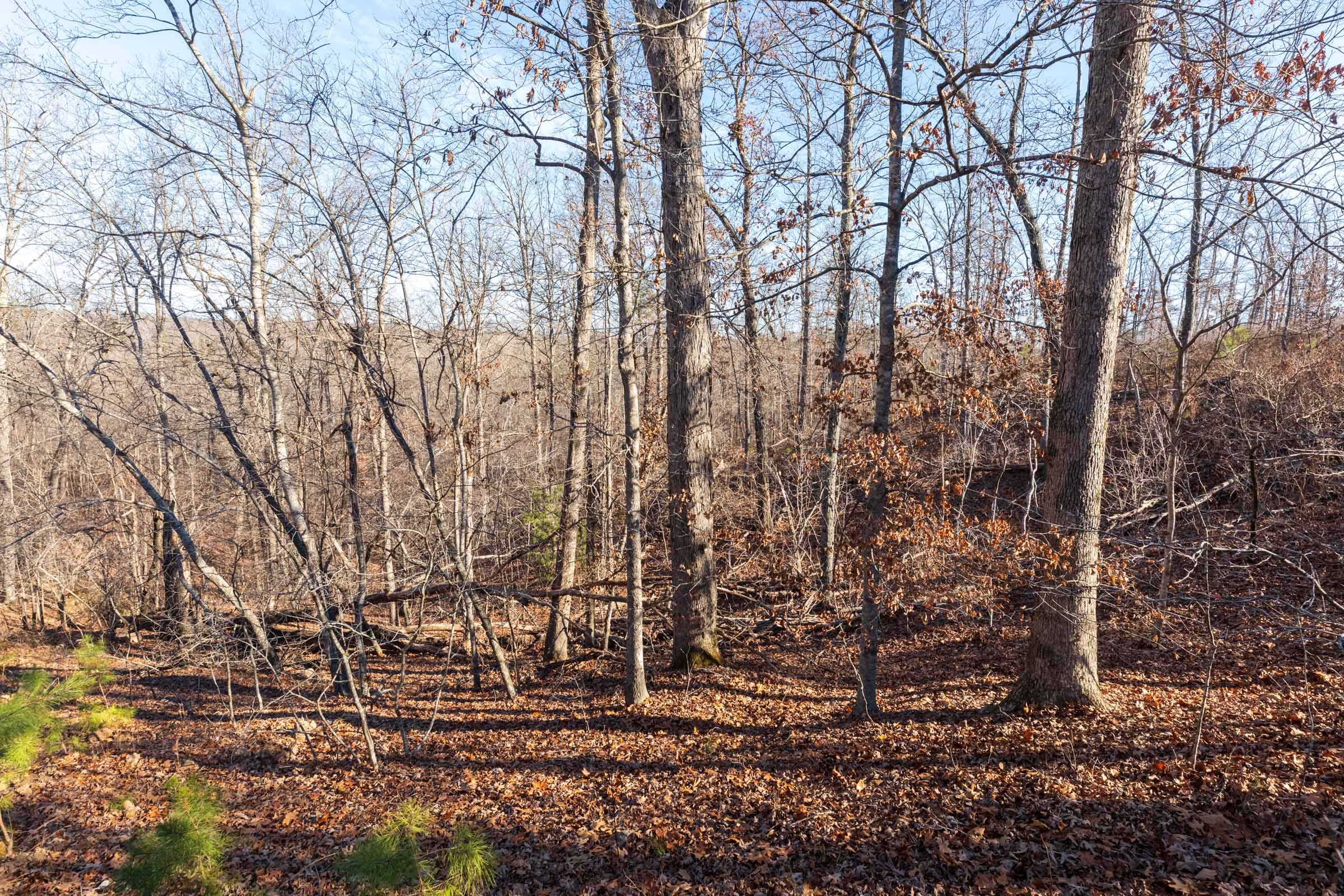 Cypress Ridge Tract 34 photo 8