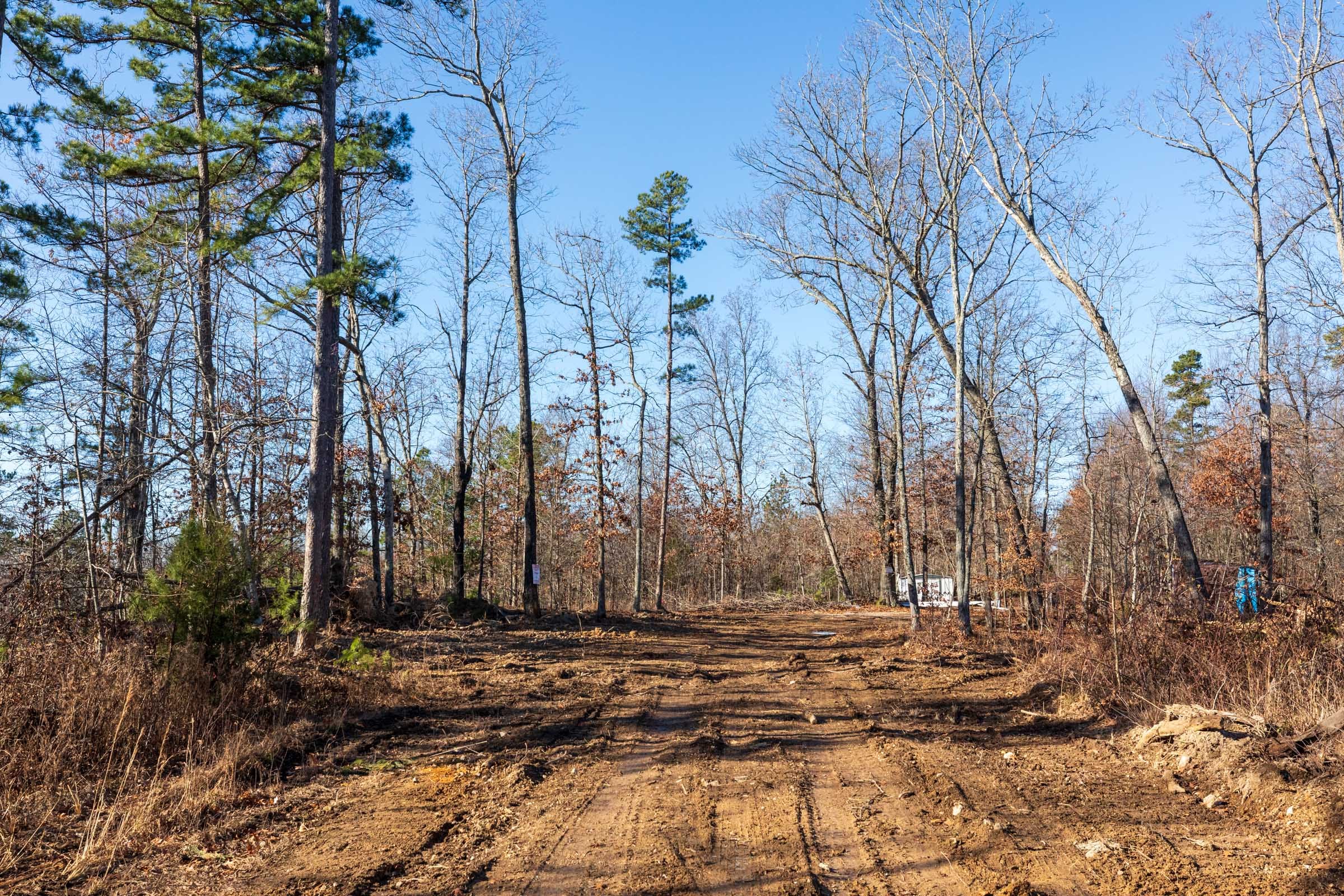 Cypress Ridge Tract 34 photo 1