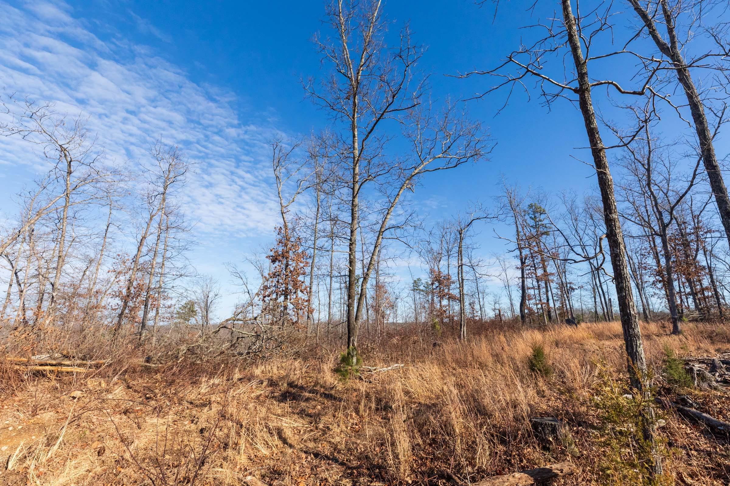 Cypress Ridge Tract 34 photo 3