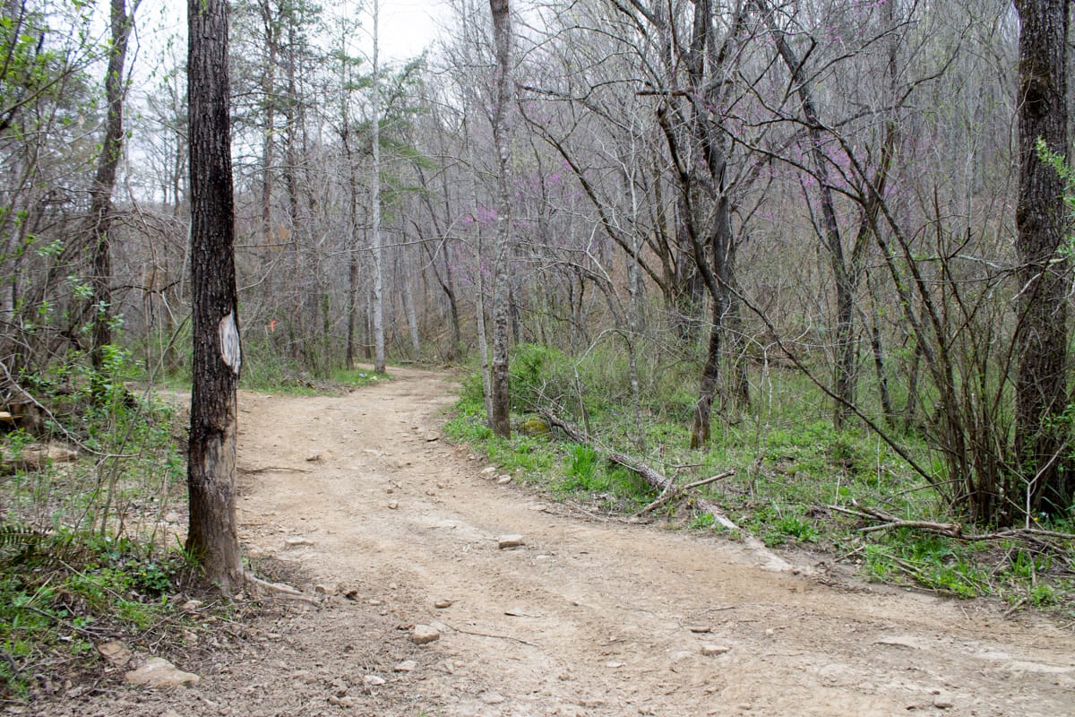 Chestnut Oak Ridge Tract 7 photo 2