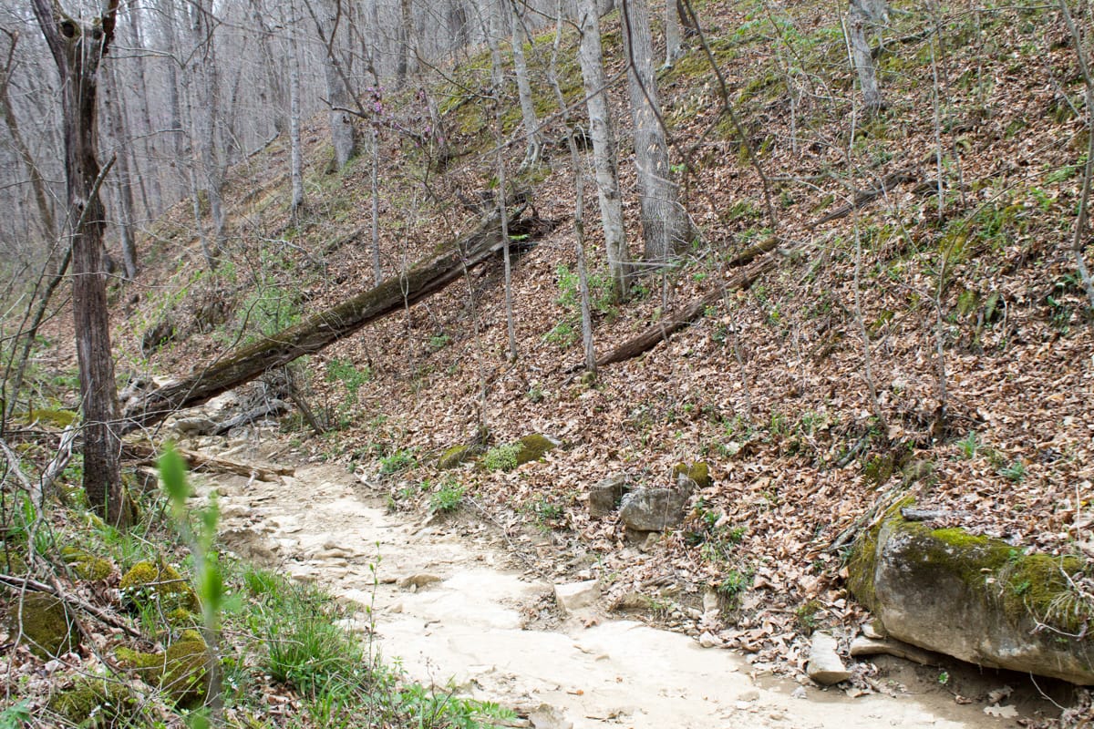 Chestnut Oak Ridge Tract 7 photo 3