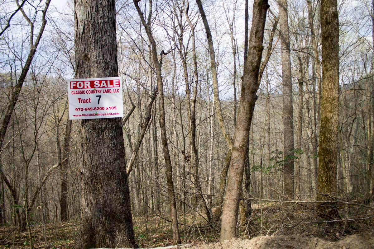 Chestnut Oak Ridge Tract 7 photo 1