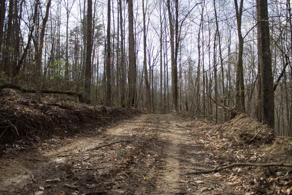 Chestnut Oak Ridge Tract 7 photo 9
