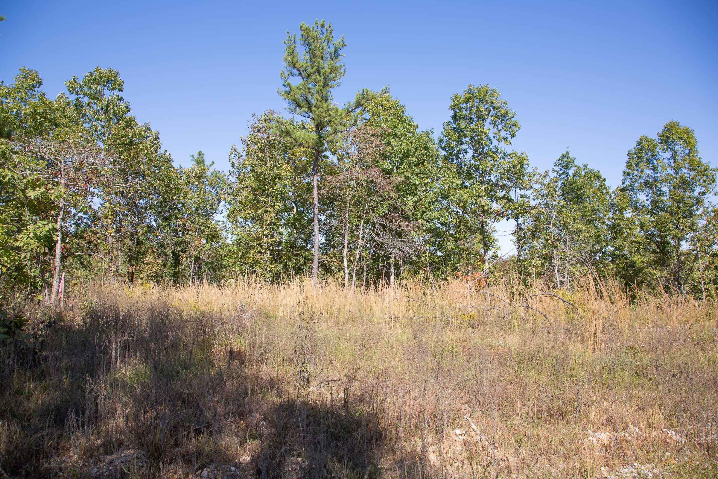 Borgmann’s Hollow Phase III Tract 94 photo 3
