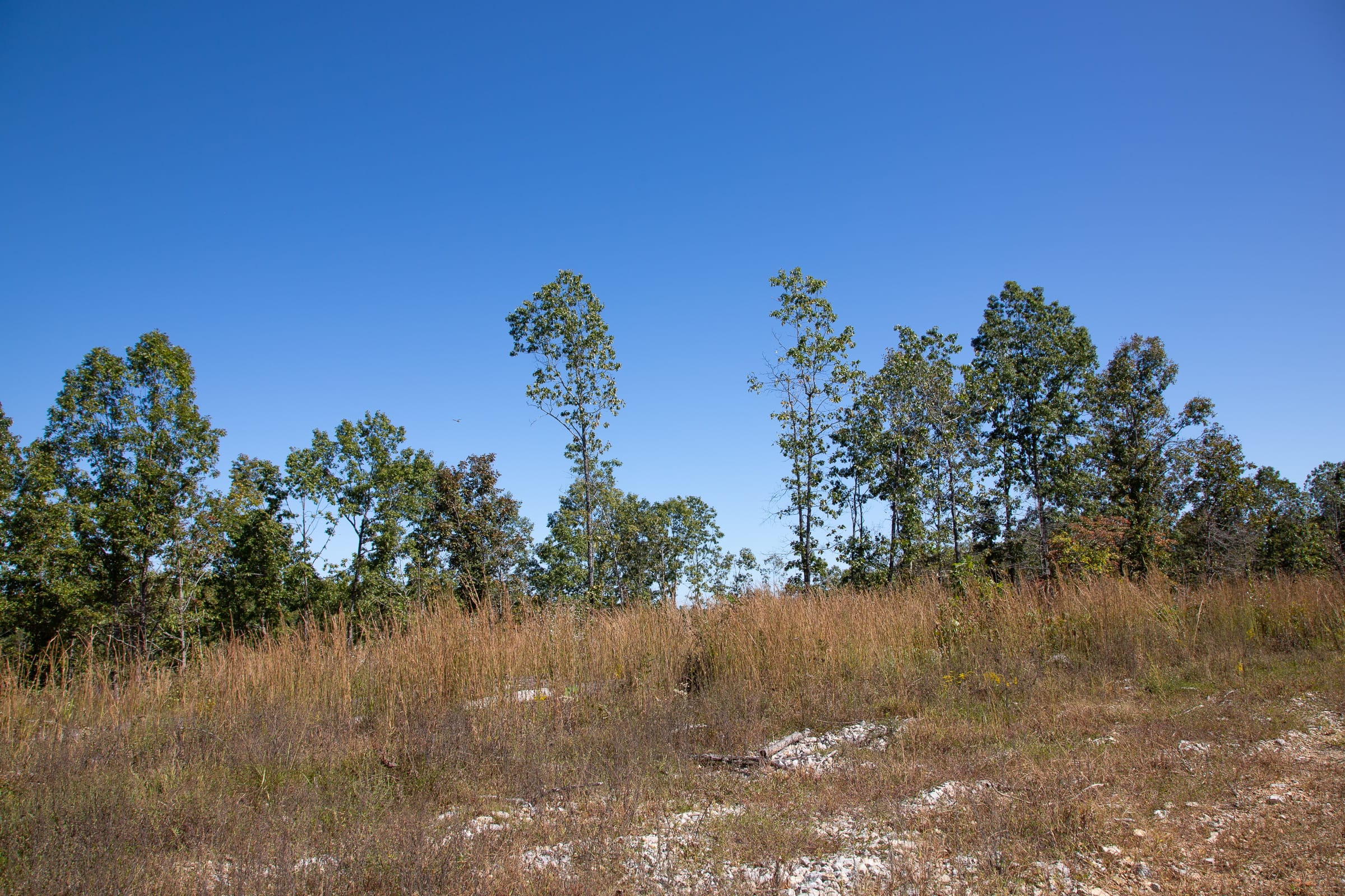 Borgmann’s Hollow Phase III Tract 94 photo 4
