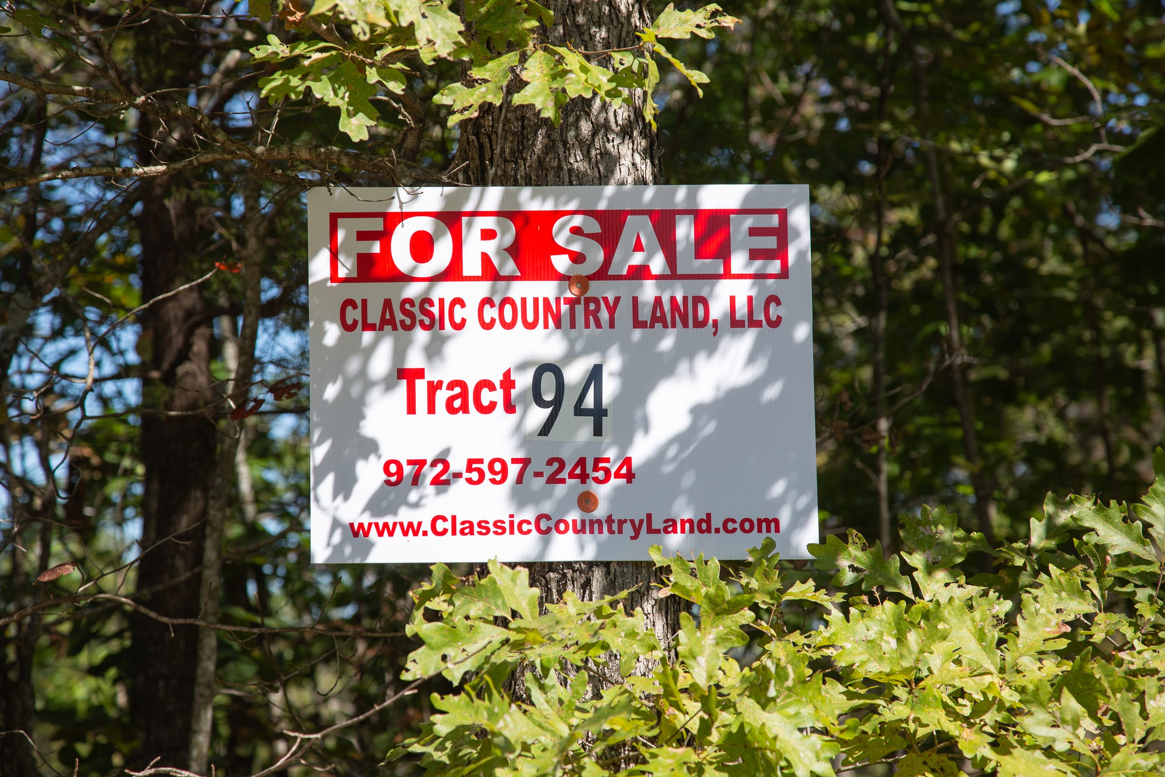 Borgmann’s Hollow Phase III Tract 94 photo 1