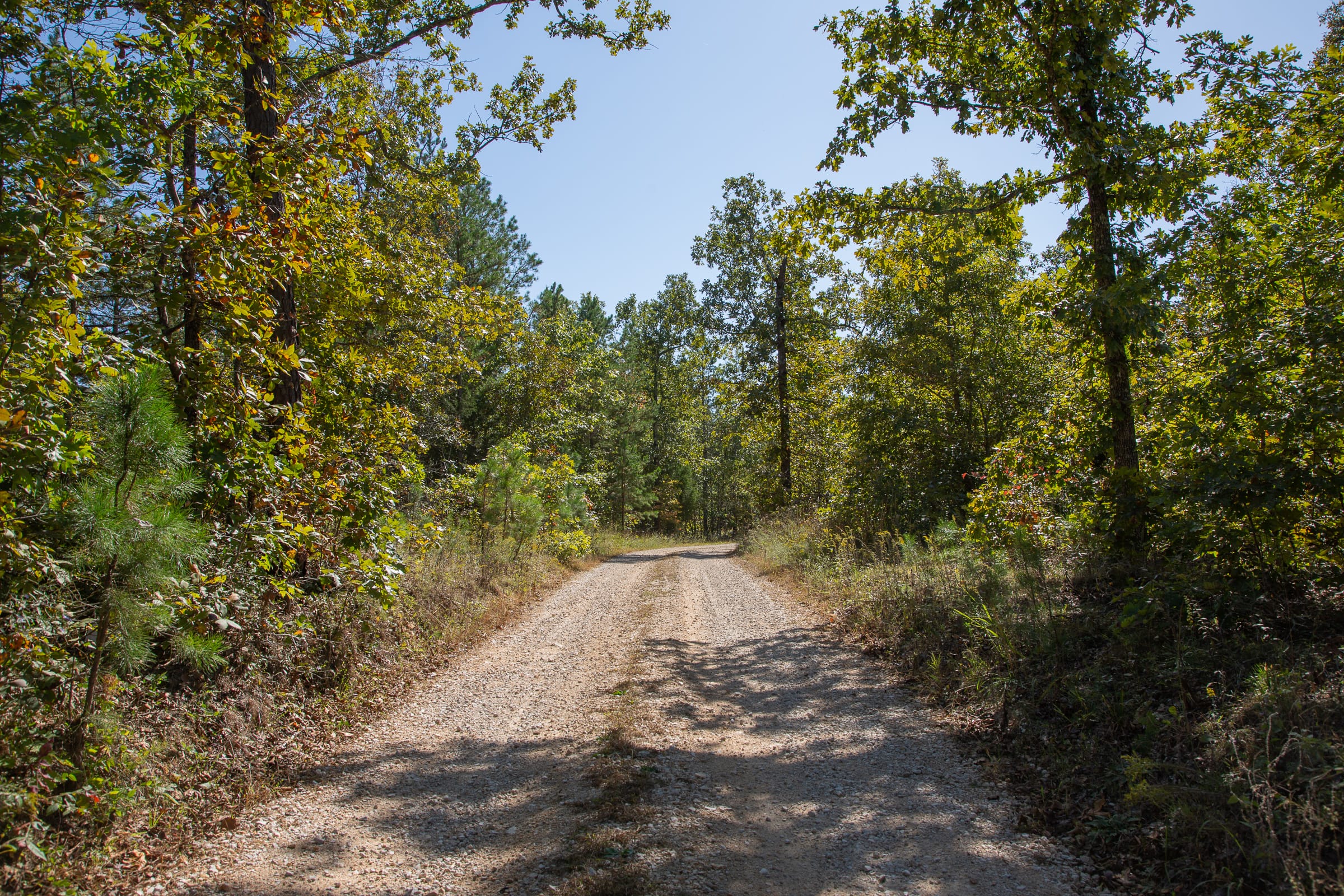 Borgmann’s Hollow Phase III Tract 94 photo 2