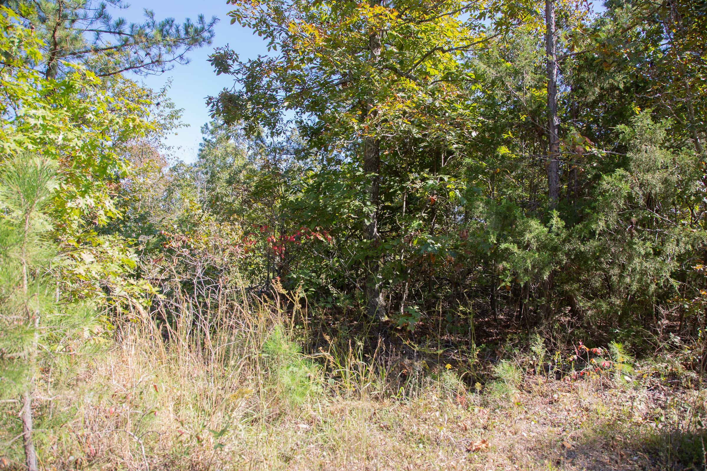 Borgmann’s Hollow Phase III Tract 94 photo 18