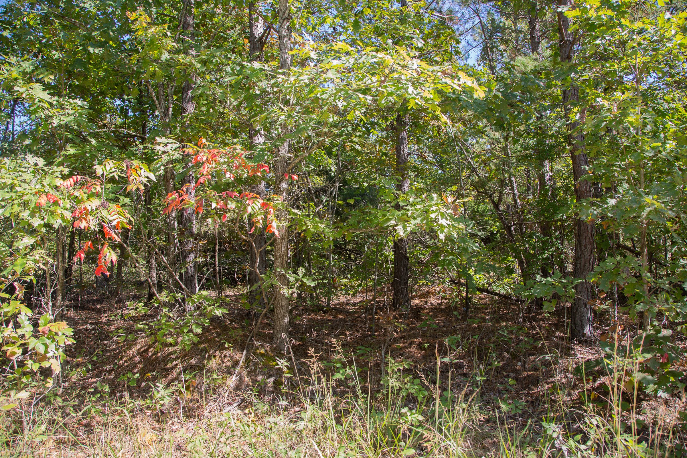 Borgmann’s Hollow Phase III Tract 94 photo 20