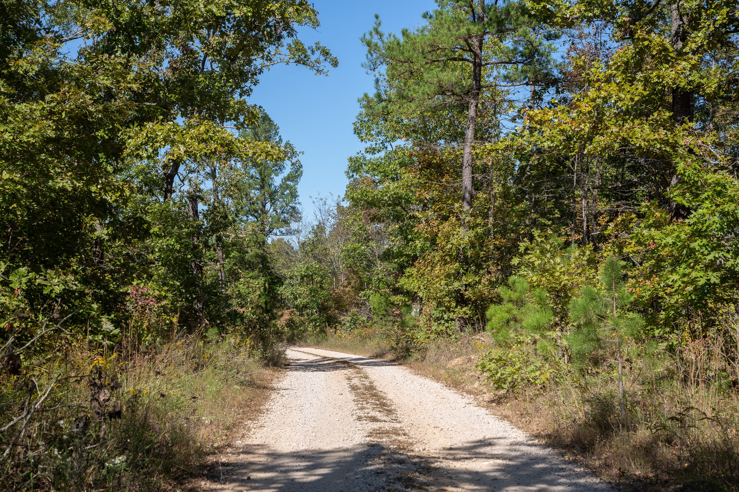 Borgmann’s Hollow Phase III Tract 94 photo 12