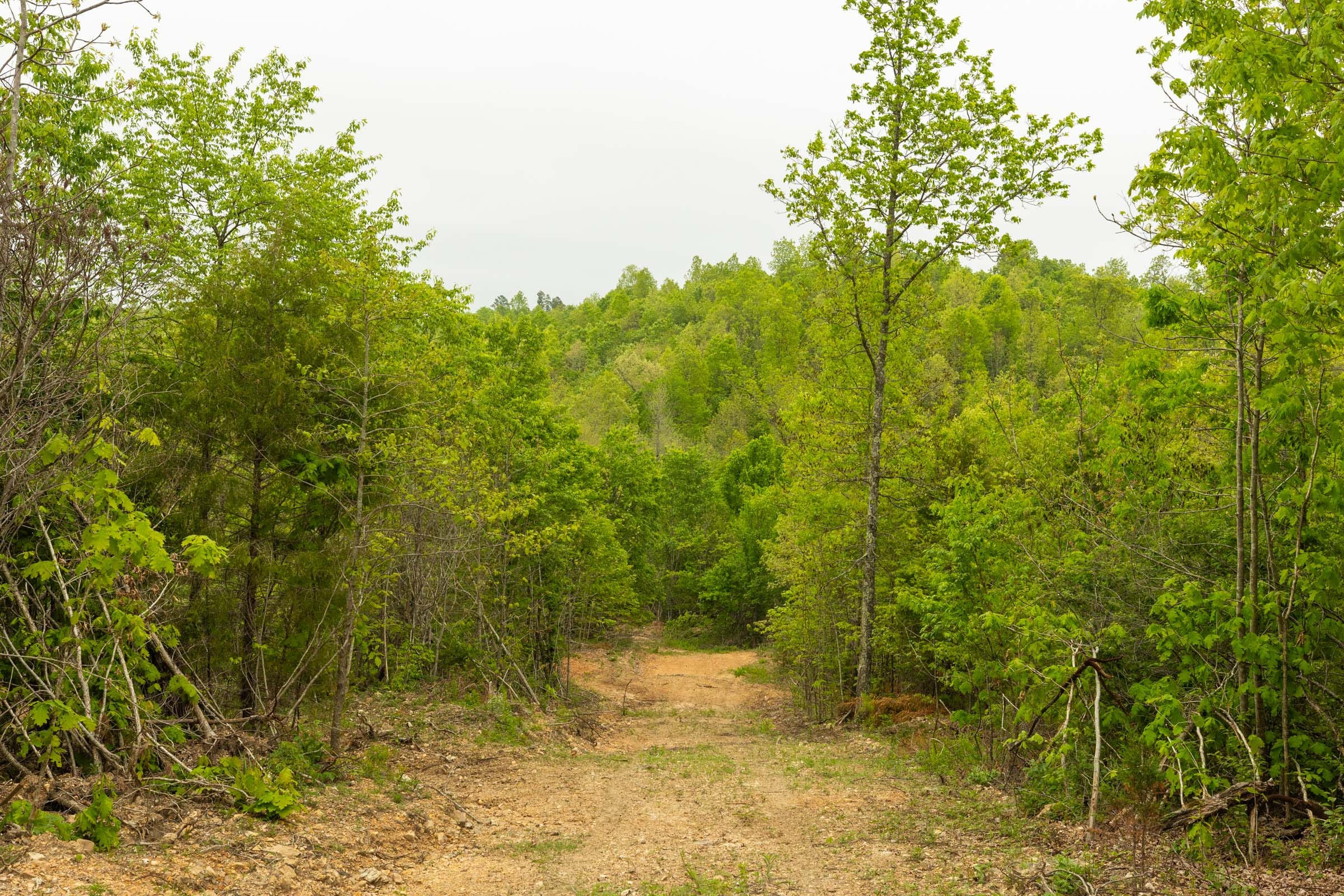 Double S Ranch Tract 2 photo 6