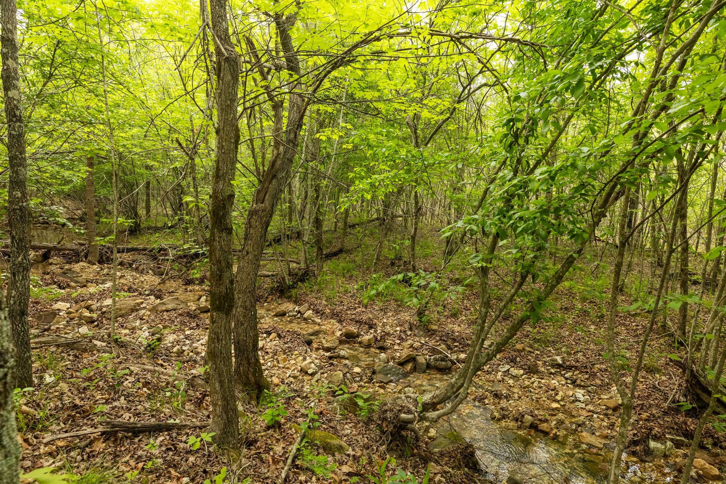 Double S Ranch Tract 2 photo 15