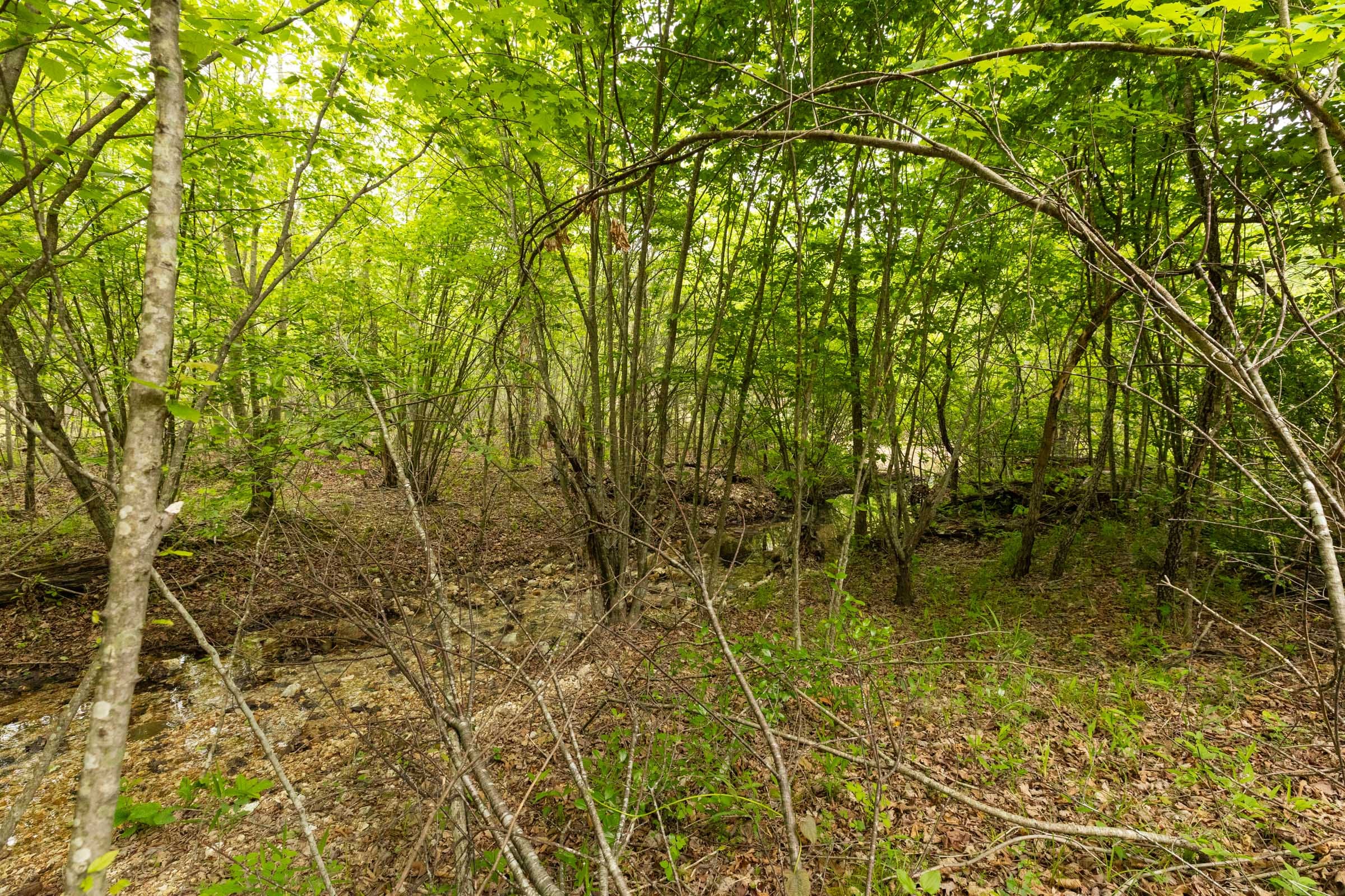Double S Ranch Tract 2 photo 11
