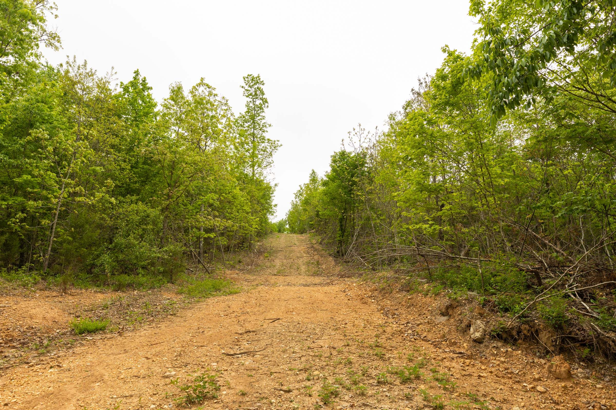 Double S Ranch Tract 2 photo 10