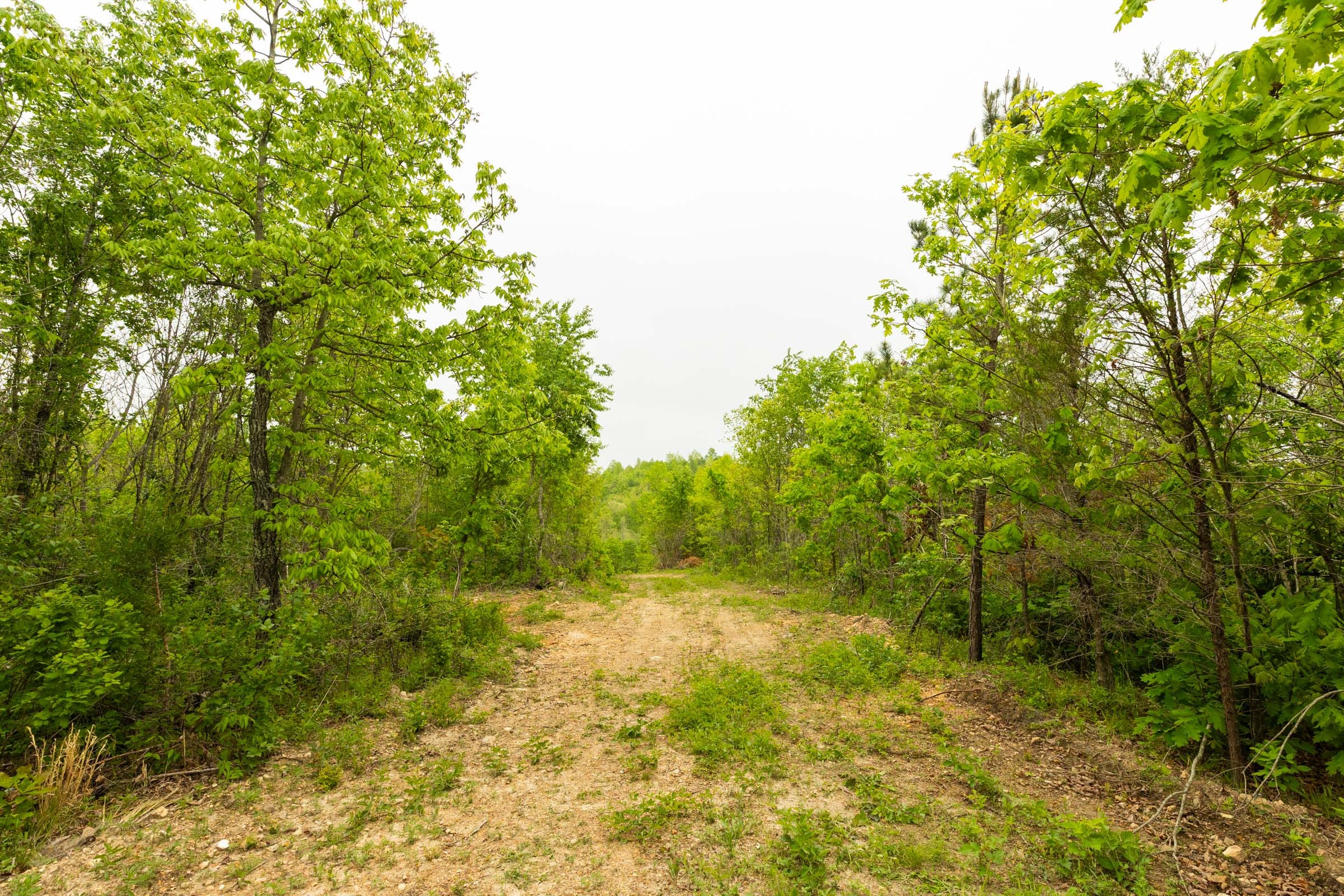 Double S Ranch Tract 2 photo 14