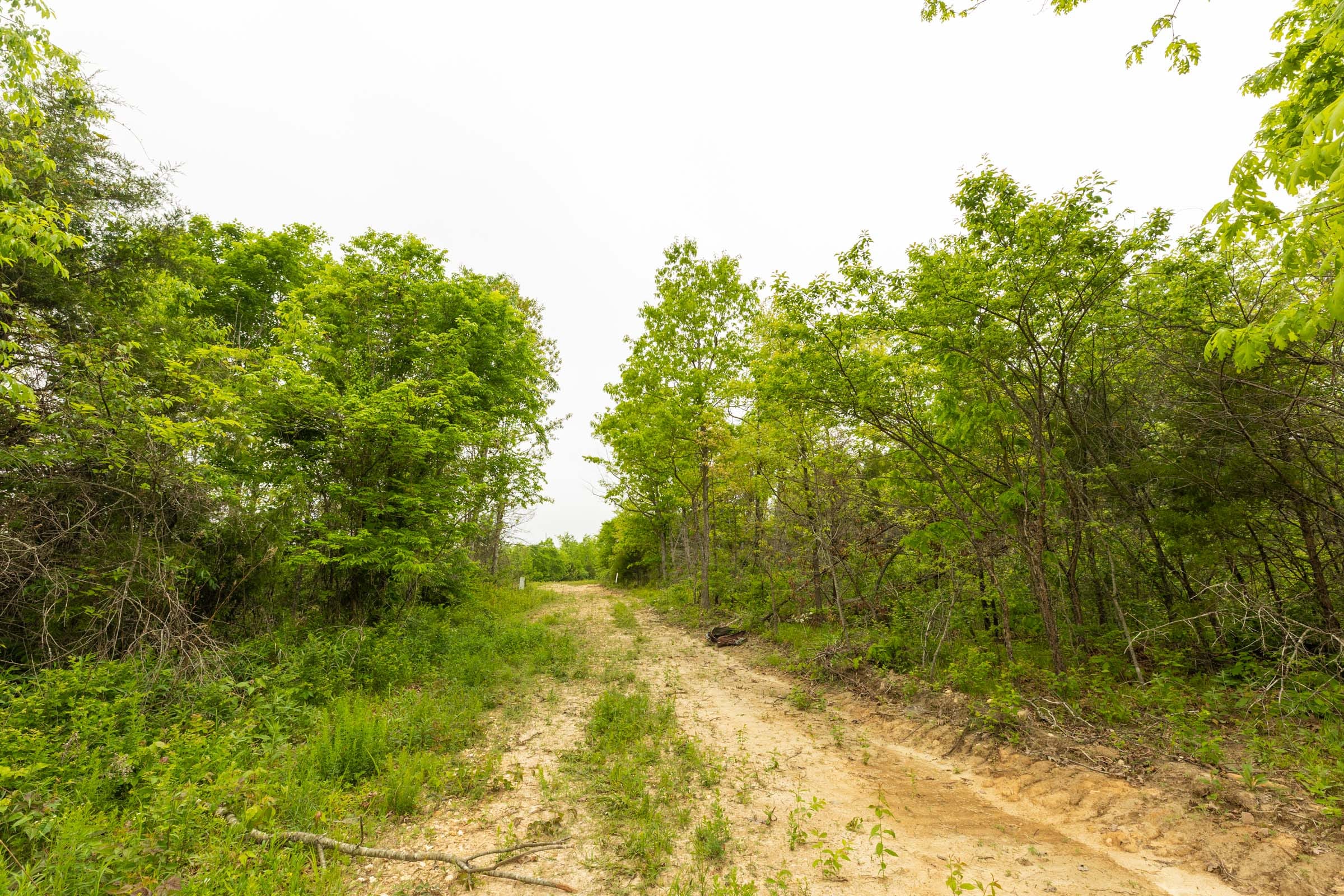 Double S Ranch Tract 2 photo 2