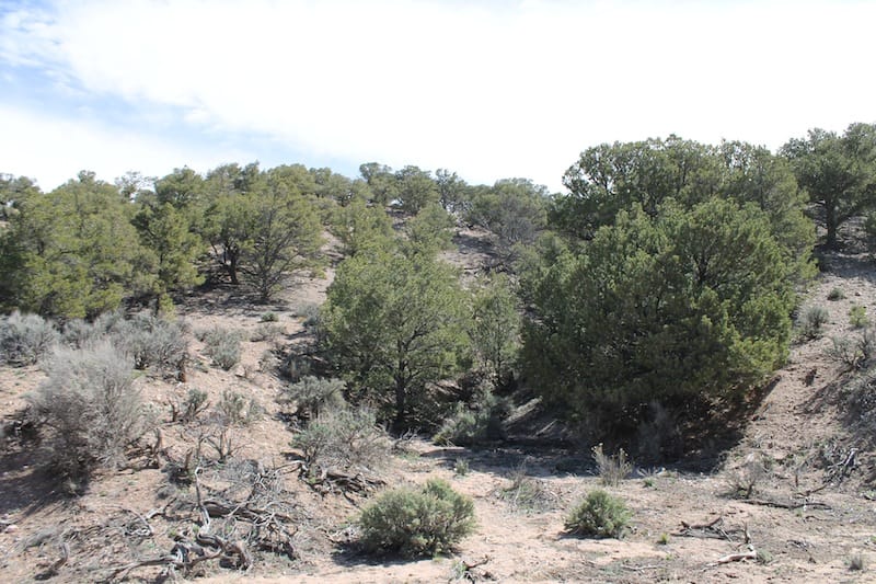 Sangre De Cristo Ranches Tract 8 photo 5