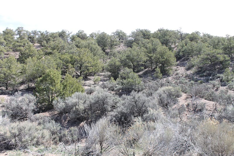 Sangre De Cristo Ranches Tract 8 photo 6