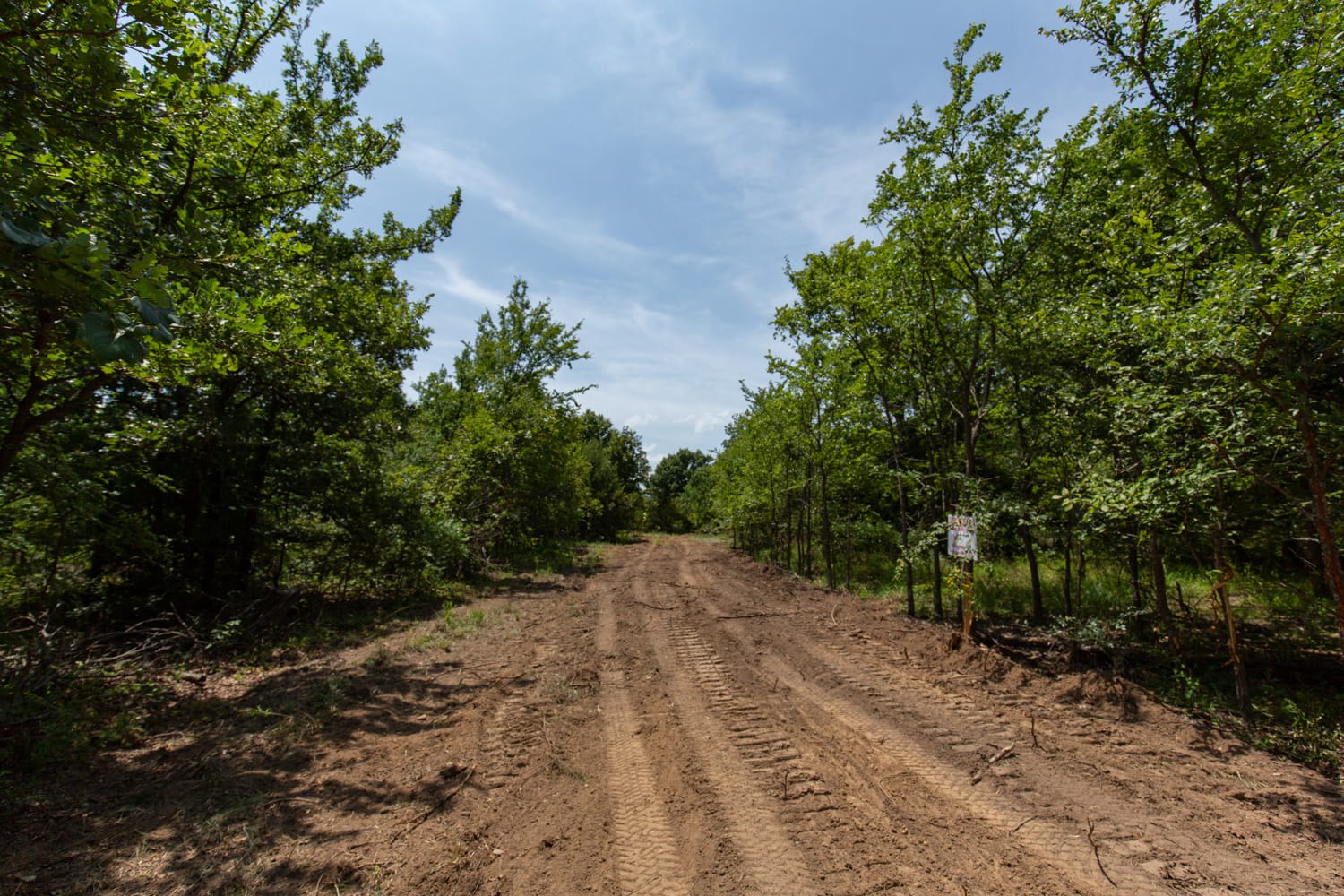 Timber Ridge Tract 62 photo 1