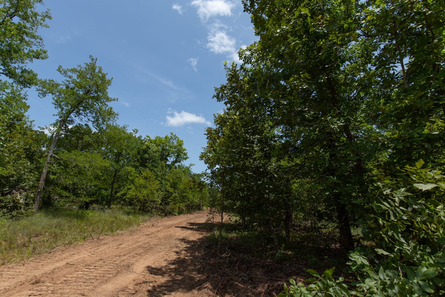 Timber Ridge Tract 62 photo 5