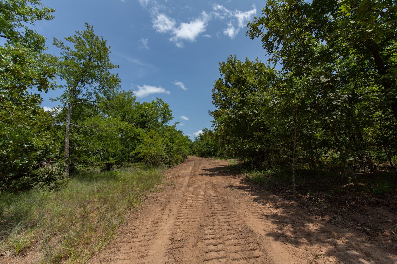 Timber Ridge Tract 62 photo 6