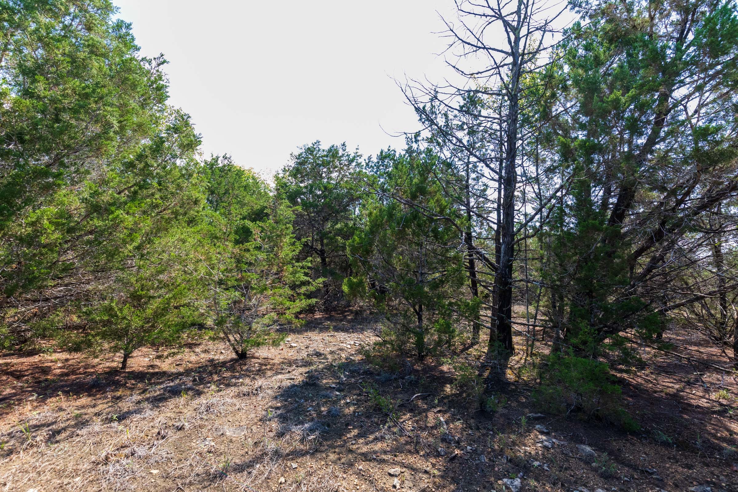 Heritage Bend Tract 29 photo 3