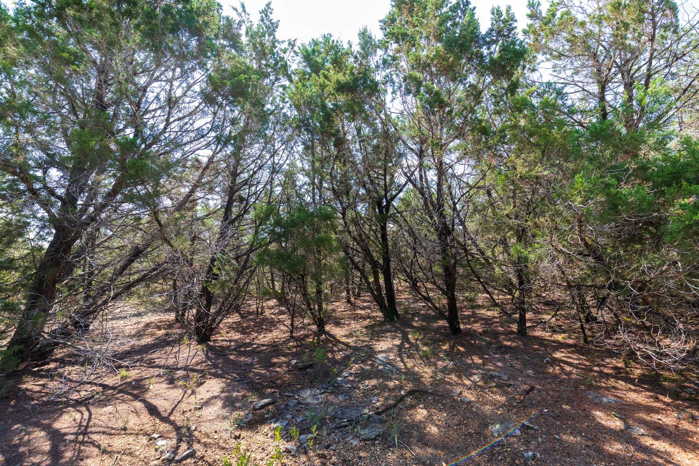 Heritage Bend Tract 29 photo 4