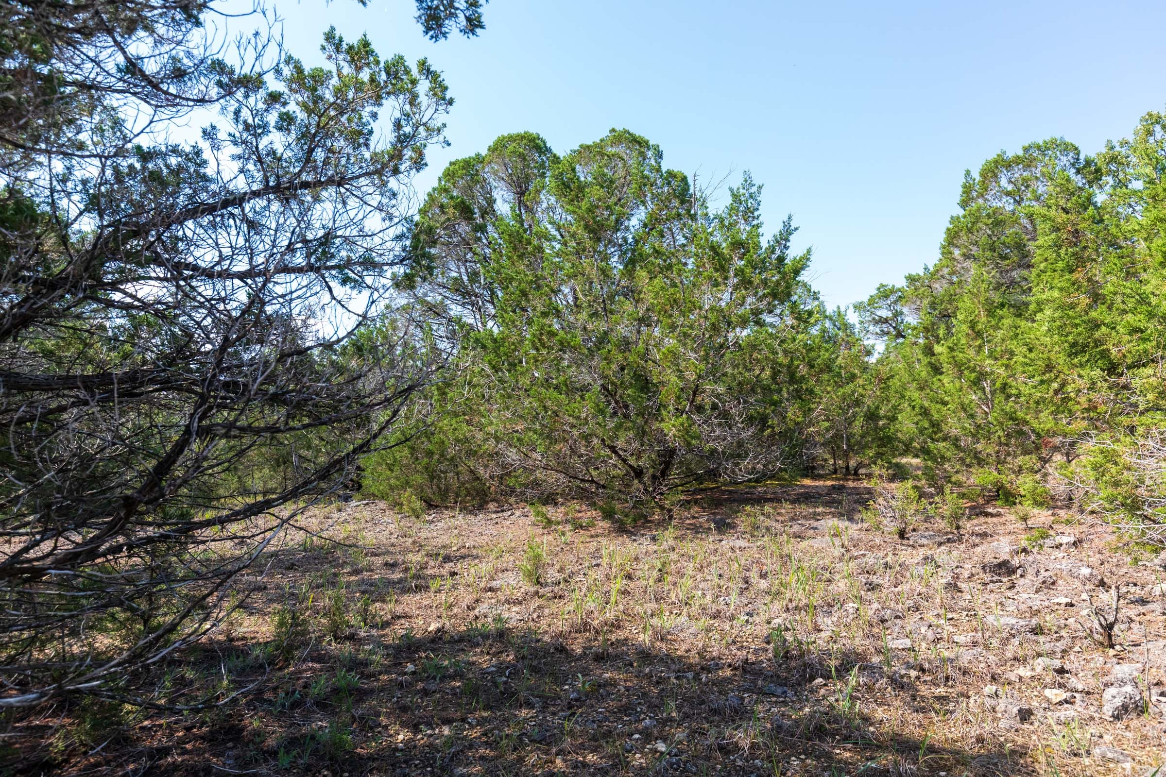 Heritage Bend Tract 29 photo 5